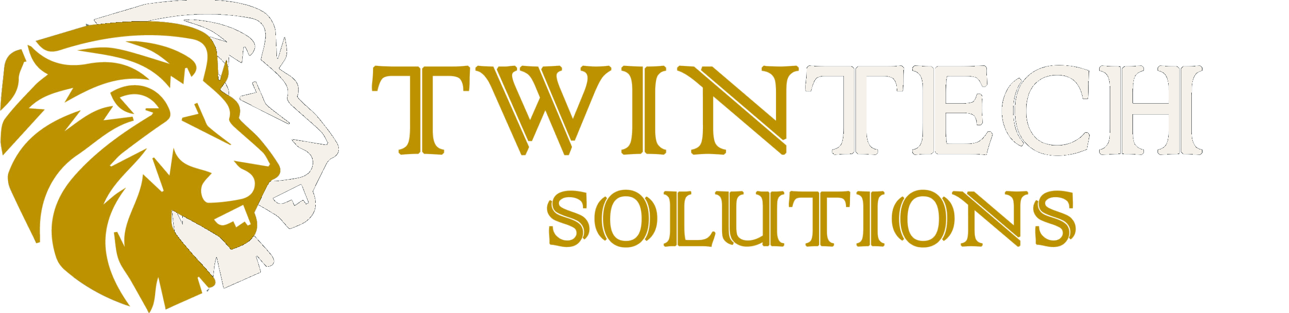 Twin Tech Solutions